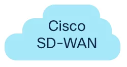 Cisco SD-WAN (Viptela)